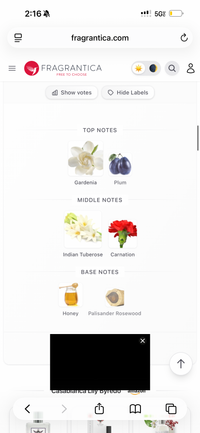 Byredo Casablanca Lily Decants